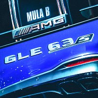 Mula B – GLE63S