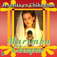 Marimba Chiapas – Jesusita En Chihuahua