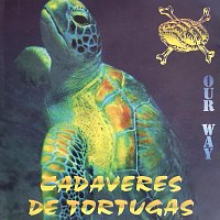 Cadaveres De Tortugas – Our Way