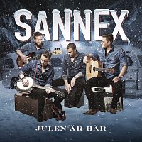 Přední strana obalu CD Julen ar har