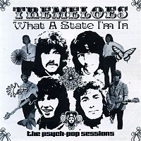 The Tremeloes – What a State I'm In: The Psych-Pop Sessions