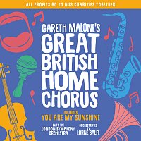 Gareth Malone’s Great British Home Chorus