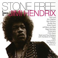 Various Artists – Stone Free: A Tribute to Jimi Hendrix LP