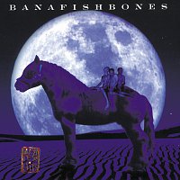 Bananafishbones – Grey Test Hits