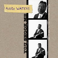 Muddy Waters – You Shook Me - The Chess Masters, Vol. 3, 1958 To 1963