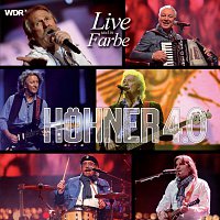 Přední strana obalu CD Hohner 4.0 Live und in Farbe