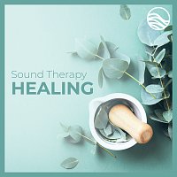 David Lyndon Huff – Sound Therapy: Healing