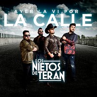 Los Nietos De Terán – Ayer La Vi Por La Calle