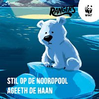 Přední strana obalu CD Stil op de Noordpool