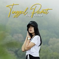 Jay Alexa – Tinggal Pamit