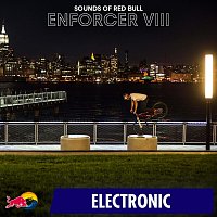 Přední strana obalu CD Enforcer VIII