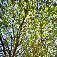 Přední strana obalu CD When You Cry