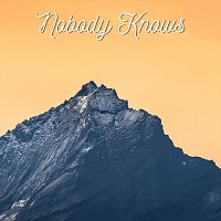 Přední strana obalu CD Nobody Knows
