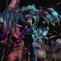 Přední strana obalu CD Augen rot