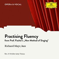 Richard Mayr – Practising Fluency
