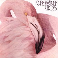Christopher Cross – Another Page