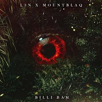 L3N, MountBlaq – Billi Bam