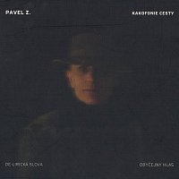 Pavel Zajíček – Kakofonie cesty CD