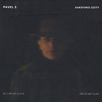 Pavel Zajíček – Kakofonie cesty FLAC