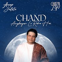 Anup Jalota, Sachin Gupta – Chand Angdaiyan Le Raha Hai [Ghazal Lofi]