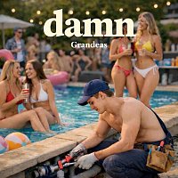 Přední strana obalu CD Damn