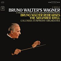 Bruno Walter – Bruno Walter's Wagner