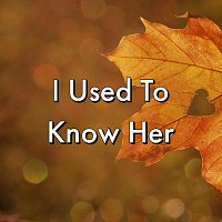 I Used To Know Her