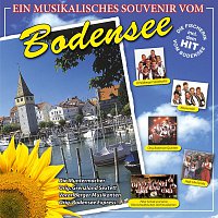 Přední strana obalu CD Musikalisches Souvenir vom Bodensee