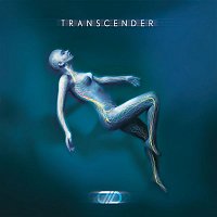 DLD – Transcender