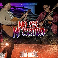 Los De Guamuchil – No Es Mi Estilo