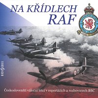 Tomáš Černý – Na křídlech RAF