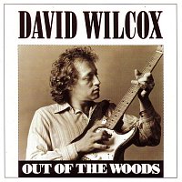 David Wilcox – Out Of The Woods