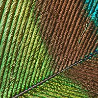 Přední strana obalu CD Binary Atmosphere