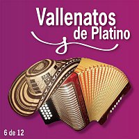Various  Artists – Vallenatos De Platino Vol. 6