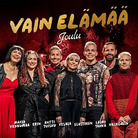 Various Artists.. – Vain elamaa - Joulu