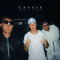 Xander Linnet, Suspekt – Cassie