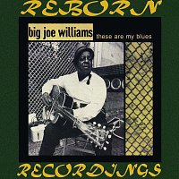 Big Joe Williams – These Are My Blues (HD Remastered)
