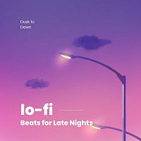Různí interpreti – Dusk to Dawn: Lo-Fi Beats for Late Nights