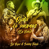Los Rojos, Bobby Pulido – Ojalá Te Animes [En Vivo]