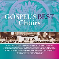 Různí interpreti – Gospel's Best Choirs