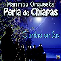 Marimba Orquesta Perla de Chiapas – Cumbia en Sax