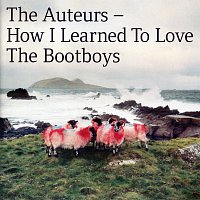The Auteurs – How I Learned To Love The Bootboys
