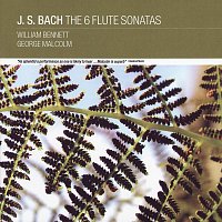 Přední strana obalu CD J. S Bach: The 6 Flute Sonatas