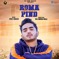 Přední strana obalu CD Roma Mera Pind