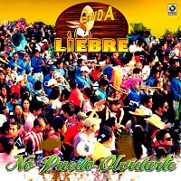 Banda Liebre – No Puedo Olvidarte