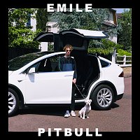 EMILE – Pitbull
