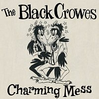 Charming Mess