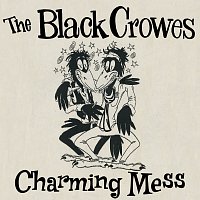 The Black Crowes – Charming Mess