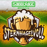 Sternhagelvoll