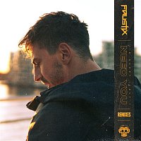 Faustix – Need You (Remixes)